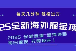 2025最新海外掘金项目 一台电脑轻松日入500+