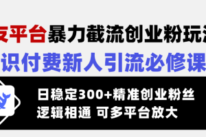 交友平台暴力截流创业粉玩法，知识付费新人引流必修课，日稳定300+精准…