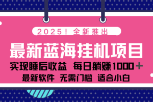 2025最新挂机躺赚项目 一台电脑轻松日入500