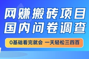 网赚搬砖项目，国内问卷调查，0基础看完就会 一天轻松三四百，靠谱副业…