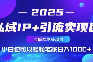 私域IP+引流卖项目，小白也可以做到轻松宅家日入1000+