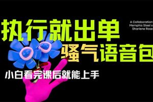 爆火全网的开车导航骚气语音包,只要执行就出单，小白看完课程就能实操…