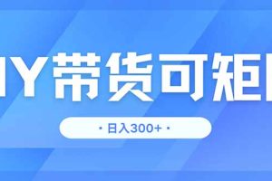 DY带货，日入300＋矩阵无上限