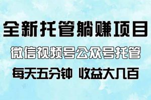 全新托管躺赚项目，微信视频号公众号托管代运营，每天五分钟，收益大几百