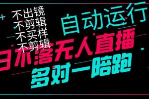 日不落无人直播、让你赚到手软，不出镜 不剪辑 不囤货  不买样日赚1000…