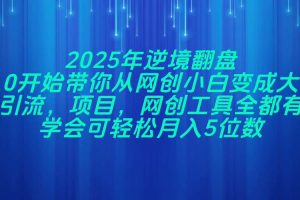 2025年逆境翻盘，从0开始带你从网创小白变成大佬，引流，项目，网创工…