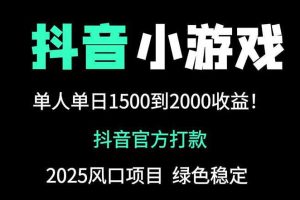 抖音官方小游戏2025全网最新玩法，暴利赚钱项目，单机日入2000+