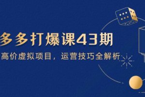 ，掌握高价虚拟项目，运营技巧全解析（15节）