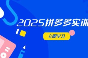2025拼多多实训营：深度剖析运营关键，助力电商人快速提升