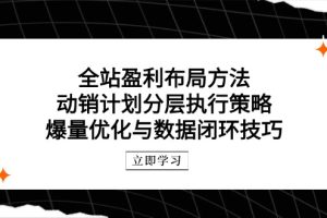全站盈利布局方法：动销计划分层执行策略，爆量优化与数据闭环技巧