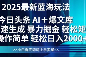 今日头条2025最新蓝海玩法，思路简单，复制粘贴，轻松实现矩阵日入2000+