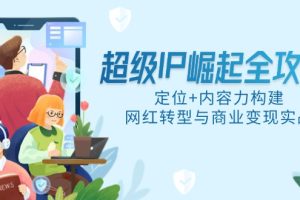 超级IP崛起全攻略,定位+内容力构建,网红转型与商业变现实战