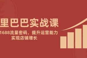 阿里巴巴实战课:掌握1688流量密码,提升运营能力,实现店铺增长