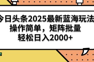 今日头条2025最新蓝海玩法，操作简单，矩阵批量，轻松日入2000+
