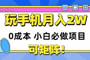 玩玩手机月入20000+，0成本小白必做项目，可矩阵