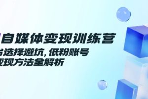 AI自媒体变现训练营，平台选择避坑，低粉账号高变现方法全解析