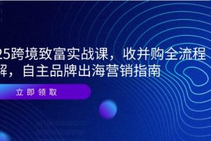 2025跨境致富实战课，收并购全流程拆解，自主品牌出海营销指南
