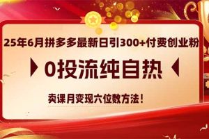 25年6月拼多多最新日引300+付费创业粉，0投流纯自热 卖课月变现六位数方法