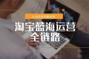 淘宝蓝海运营全链路，从选品到流量变现，小类目突围完整方案