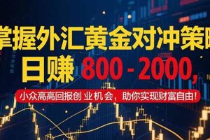 掌握外汇黄金对冲策略，日赚 800 – 2000，小众高回报创业机会，助你实…