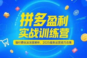 拼多多盈利实战训练营，强付费玩法深度解析，2025运营技巧合集-更新6月