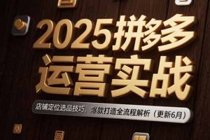 2025拼多多运营实战:店铺定位选品技巧,爆款打造全流程解析(更新6月)