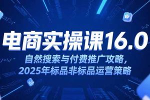 淘宝电商运营课16.0,自然搜索与付费推广攻略,2025年标品非标品运营策略