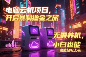 电脑云机项目 暴力撸金玩法，不需要养机 配置没有要求 单机100个窗口一…