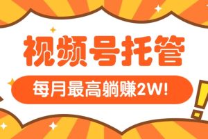 【视频号托管 】我提供视频,你每天5分钟复制发布,最高月入1W
