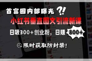 首富圈内部曝光小红书垂直图文引流新课，日吸300+创业粉，日赚800+，限…