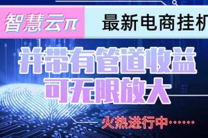 智慧云π电脑挂机单机每天收益300—500+ 并带有团队管道收益 可无限放大