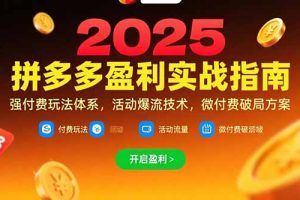 拼多多盈利实战指南,强付费玩法,活动爆流技术,微付费破局方案(更新7月)