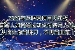 2025年互联网项目天花板，普通人如何通过卖项目实现逆风翻盘，月入5W＋！