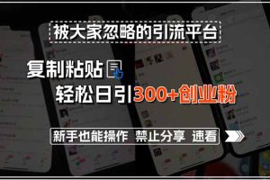 被大家忽略的引流平台,复制粘贴轻松日引300+创业粉,新手也能操作,禁…