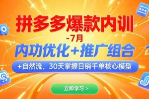 拼多多爆款内训-7月 内功优化+推广组合+自然流 30天掌握日销千单核心模型