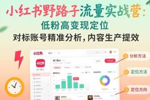 小红书野路子流量实战营：低粉高变现定位 对标账号精准分析 内容生产提效