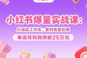 小红书爆量实战课：AI选品工作流，素材批量处理，单店月利润突破25万元