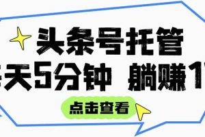 【头条号托管 】我提供视频和文章，你每天5分钟发布，月入3000-5000+，…
