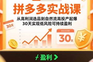 拼多多实战课：从高利润选品到自然流高投产起爆 30天实现低风险可持续盈利