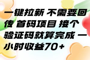 一键拉新 不需要回传 首码项目 接个验证码就算完成 一小时收益70+