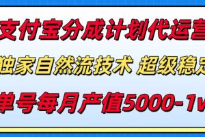支付宝分成计划代运营，最新自然流技术，收益稳定，单号月产5000＋！