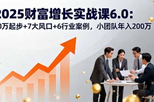 2025财富增长实战课6.0：10万起步+7大风口+6行业案例，小团队年入200万