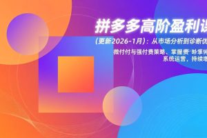 拼多多高阶盈利课(更新2026-1月)：从市场分析到诊断优化、微付费与强付费策略，掌握系统运营