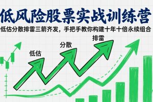 低风险股票实战训练营：低估分散排雷三箭齐发，手把手教你构建十年十倍永续组合