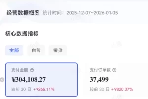 AI小红书电商，单月4万单