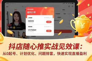 抖店随心推实战见效课(更新):从0起号、计划优化、问题排雷,快速实现直播盈利
