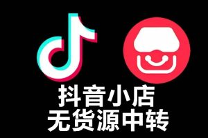 工作室项目，抖店商品采集店群，每日一千玩法