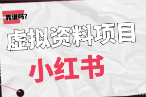 月销千单的小红书冷门虚拟品