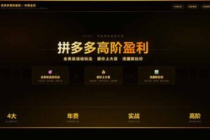 拼多多高阶盈利年费会员(更新3月31)：全类目活动玩法、原价上大促、洗图防比价等核心盈利技术