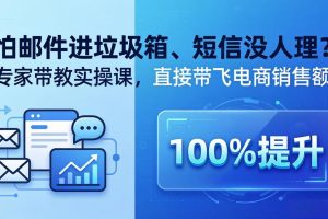怕邮件进垃圾箱、短信没人理？专家带教实操课，直接带飞电商销售额【原创双语字幕】